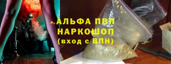 шишки Покачи