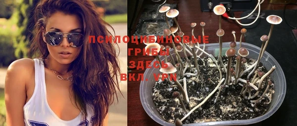 PSILOCYBIN Белоозёрский